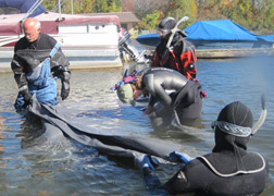 Benthic barrier mats