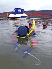 diver collecting samples