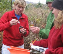 diver collecting samples