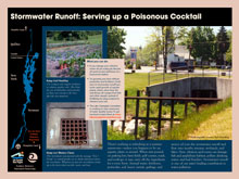 Stormwater Runoff: Serving up a Poisonous Cocktail (373 KB)